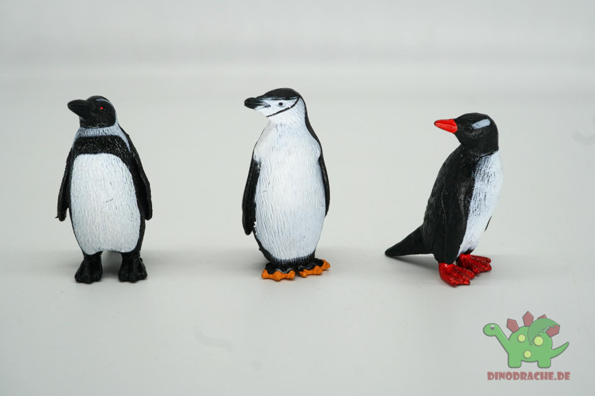 Safari Ltd. Pinguin Bundle